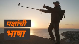 मझ ककण Kokan Wild Life In Kokan Birds Language Nature Beauty