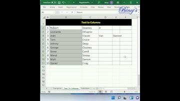 MS Excel - Text to Columns