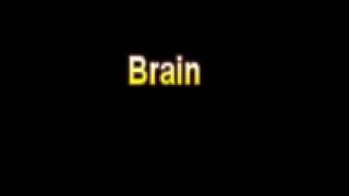 Famous What Is The Definition Of Brain Medical Dictionary Free Online Wealth