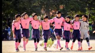 2015 Ichihama  UFA-Partida トレーラー