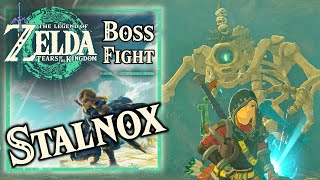 Zelda Tears Of The Kingdom - Stalnox Boss Fight - Royal Hidden Page