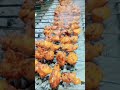 BBQ Chicken Tikka Boti: A Taste of Memories #barbque #bbq #bbqlovers #bbqchicken