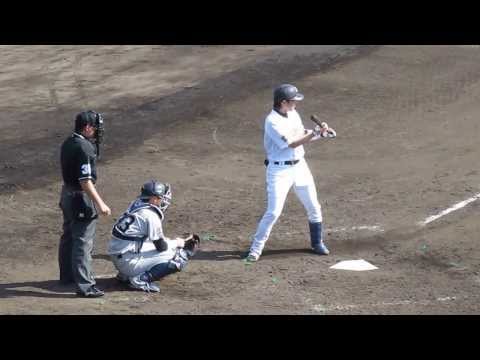 紅白戦、三塁線に送りバントをきめる縞田拓弥選手（#33）オリックス春季キャンプ2014