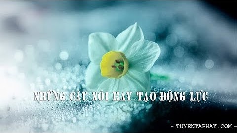 20 câu nói hay giúp bạn lấy lại niềm tin và động lực cuộc sống