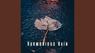 Rainy Massage Harmony