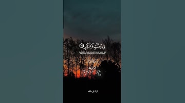 قران كريم ارح قلبك وسمعك #quran #المصحف #قران_في_دقيقة #علي_جابر #قرآن #راحة_نفسية