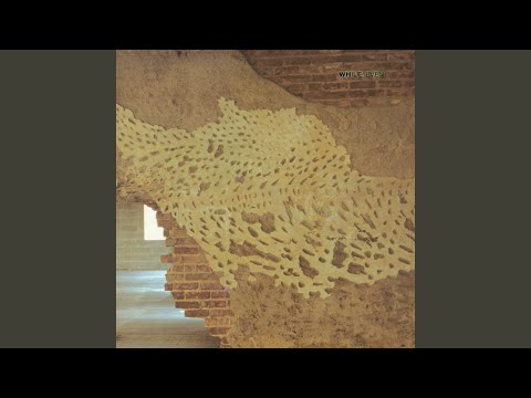 While — Moth