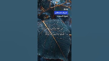 سورة السجدة الآية 13-14