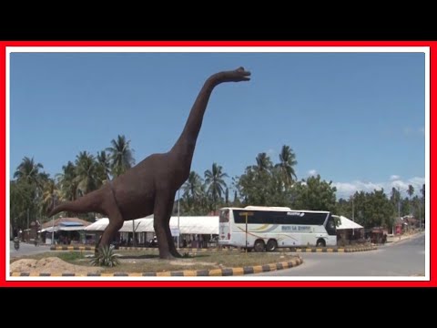 SANAMU LA MJUSI MKUBWA DUNIANI DINASAUR KUWA KIVUTIO KWA WENYEJI NA WAGENI LINDI 