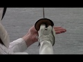 Fencing 101 Intro To The Parry Fencing 101 Intro To The Parry