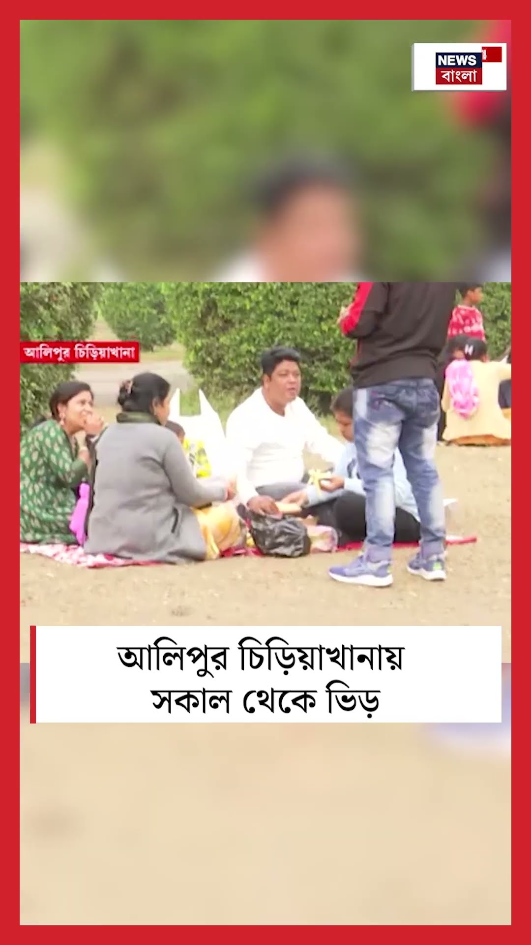 Alipore Zoo এ সকাল থেকে ভিড়, দেখুন সেই ছবি | Bangla News | #shorts