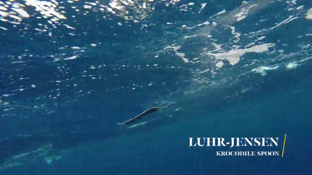 How Lures Swim: Luhr-Jensen Krocodile Spoon 