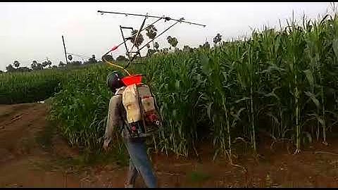 New type of sprayer for fall army worm pest control in maize