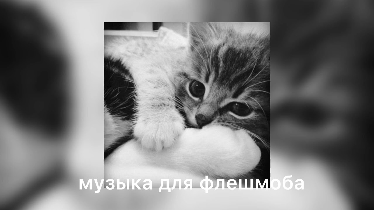 музыка для флешмоба 