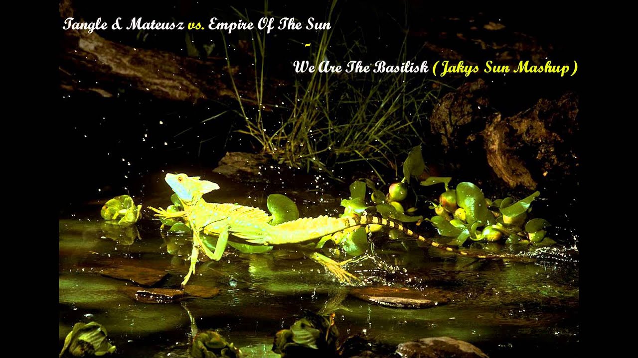 YouTubeでTangle and Mateusz vs. Empire Of The Sun - We Are The Basilisk (Jakys Sun Mashup)を視聴 YouTubeでTangle and Mateusz vs. Empire Of The Sun - We Are The Basilisk (Jakys Sun Mashup)を視聴