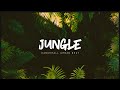 Dancehall instrumental x netherlands beats type   jungle  
