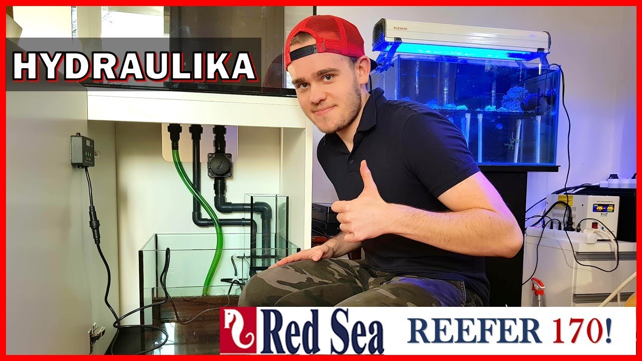 Reefer170 Red Sea Reefer 170 Skrecamy Hydraulike Projekt Akwarium Morskie Krok Po Kroku Youtube
