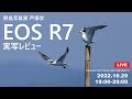 （キヤノンフォトハウス）野鳥写真家 戸塚学 EOS R7実写レビュー 【キヤノン公式】