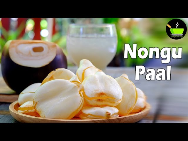 Nongu Paal Recipe | Palm Fruit Drink | Toddy Palm Fruit | #shorts | Flavored Milk | Ice Apple Milk | She Cooks