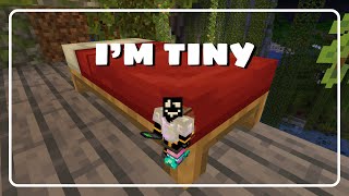 How to make yourself Tiny in  ATM10 - 1.21.1 screenshot 2