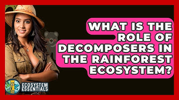 What Is The Role Of Decomposers In The Rainforest Ecosystem? - Ecosystem Essentials