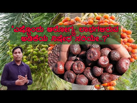 ಅಡಿಕೆ ಸೇವನೆಯಿಂದ ಸಿಗುವ ಲಾಭಗಳು / AMAZING BENEFITS OF BETEL NUTS