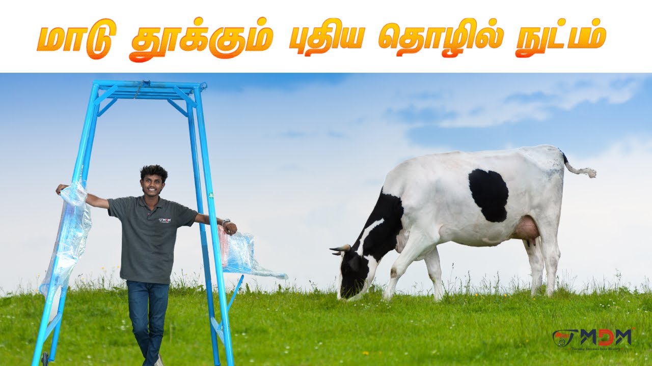 மாடுகளை தூக்க இனி ஆட்கள் தேவையில்லை | MDM-ன் Cow Lifting Machine