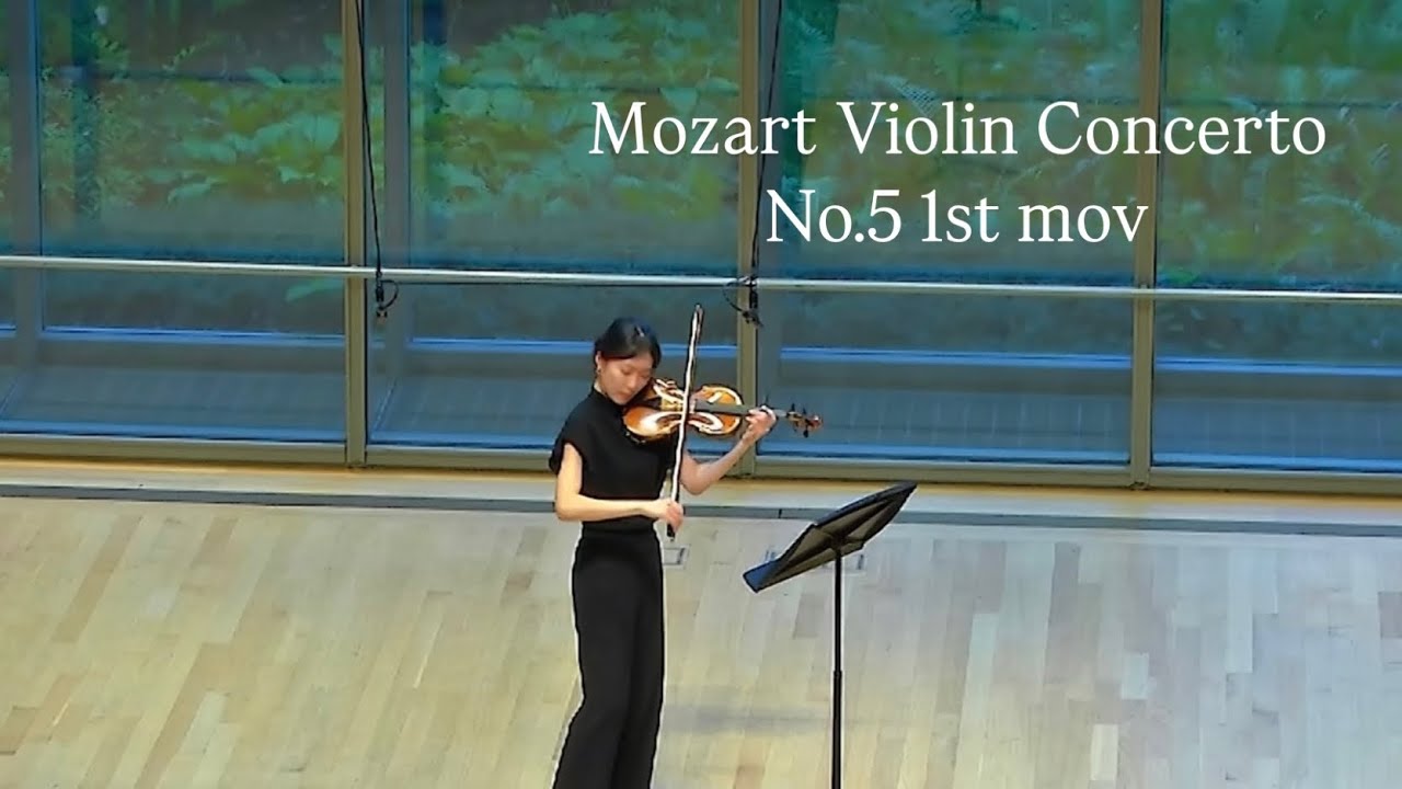 Mozart Violin Concerto No.5 1st mov, Violin Excerpt for Orchestra
