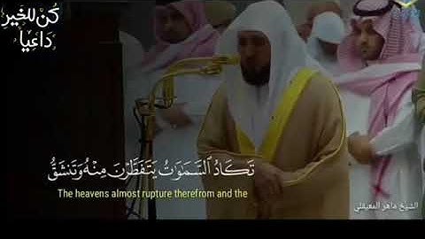 الشيخ ماهر المعيقلي تلاوات قصيرة مؤثرة استمع بقلبك❤