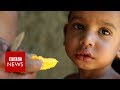 New video by BBC News on YouTube