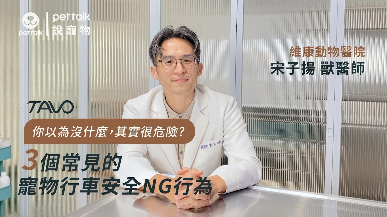 【毛孩健康小站】你以為沒什麼,其實很危險?3個常見的寵物行車安全NG行為|宋子揚獸醫師 縮圖