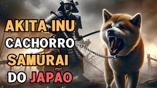 AKITA INU: CAÇADOR DE URSOS E GUARDA DOS SAMURAIS, CONHEÇA A RAÇA PATRIMONIO CULTURAL DO JAPÃO