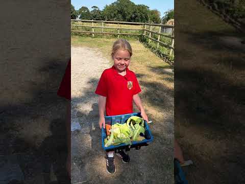 Looking for the perfect family day out this school holiday?