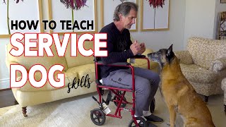 How to Teach Service Dog Skills to Your Dog