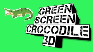 Green Screen Animation Buaya 3D no copyright