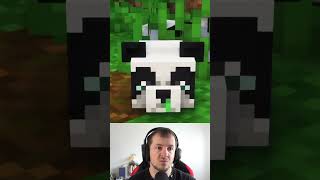 So bekommt man auch Schleimbälle in Minecraft