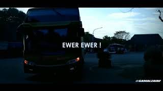 Bus ewer-ewer