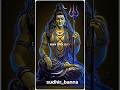 shiv