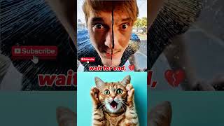 Famous MR BOMBASTIC FUNK ☠️💥 Cat Meme | MrCatBombastic 2.0 #shorts #tiktok #memes Profile