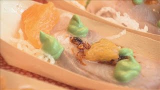 鹿児島県の食と観光をアメリカ・ワシントンでPR　知事は販路拡大に意欲(2026年4月14日)