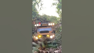 1/10 Scale D1RC Land Rover D90 Camel Trophy