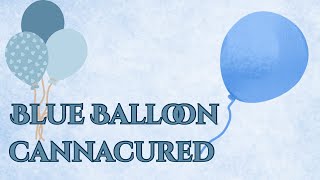 Blue Balloon x CannaCured 