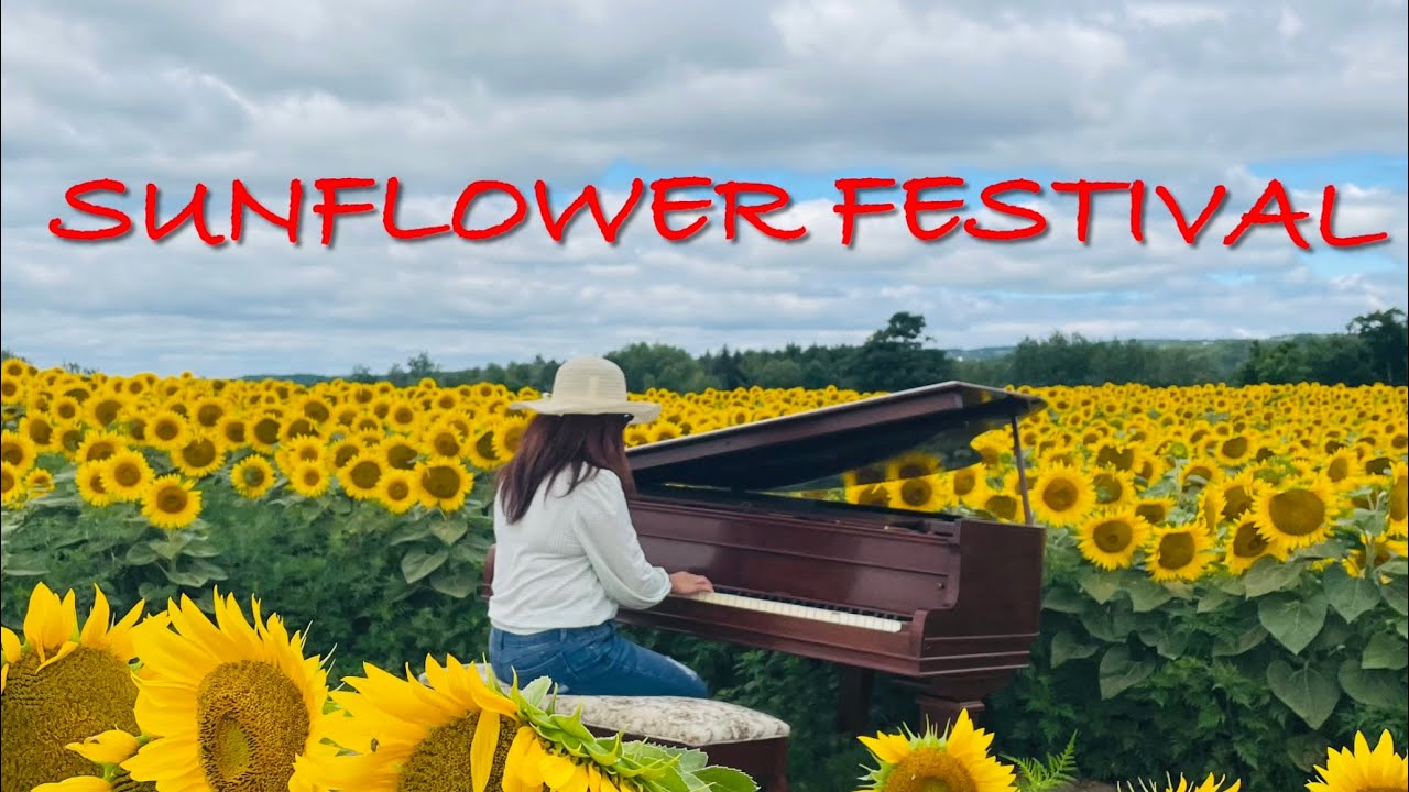 SUNFLOWER FESTIVAL 2022 Davis Family Farm Caledon Ontario YouTube