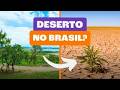 Quiz sobre Desertificação no Nordeste do Brasil