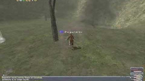 Petrifying Pair BCNM