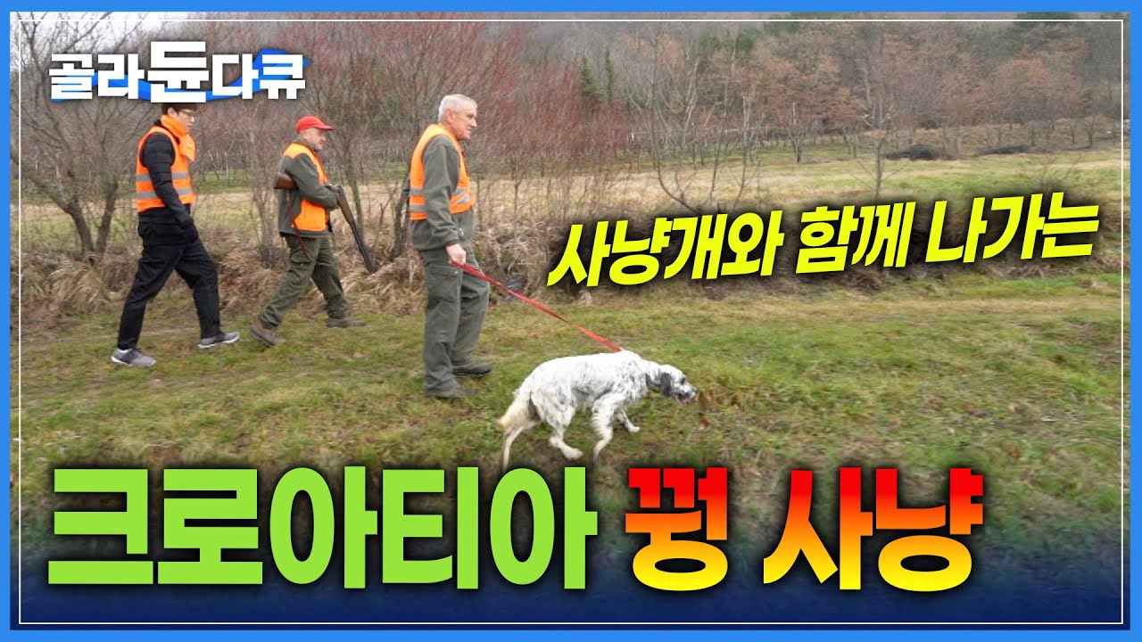 세상에서 가장 작은 마을 '훔' | 사냥개들과 함께 하는 박진감 넘치는 꿩 사냥 | 사냥 후에 먹는 멧돼지고기 요리 | 세계테마기행 | #골라듄다큐