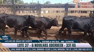 LOTE 37   6 NOVILHAS ABERDEEN   331 KG🔥 AO VIVO: BAGAGEM LEILÕES - 21/08/26 🐂 ESTRELA DO SUL MG