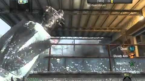 Black Ops - Tomahawk and 360 No Scope Kill