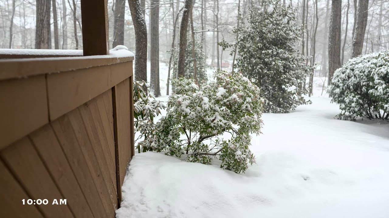 Winter Storm Thor - Time Lapse 2015 - Reston, VA - YouTube
