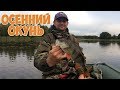 Крупный окунь на вертушку и воблер.  Осенняя рыбалка 2019